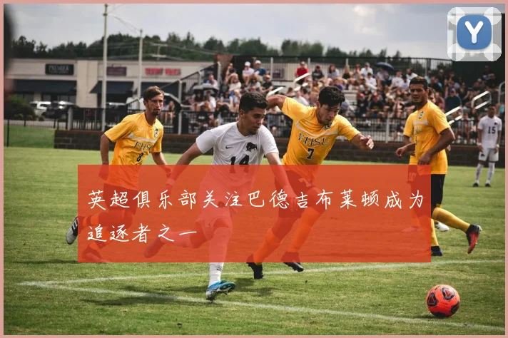 英超俱乐部关注巴德吉布莱顿成为追逐者之一