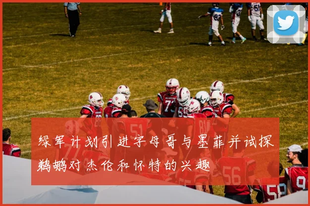 绿军计划引进字母哥与墨菲并试探鹈鹕对杰伦和怀特的兴趣