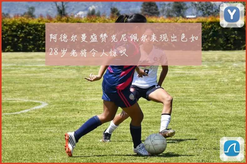阿德尔曼盛赞克尼佩尔表现出色如28岁老将令人惊叹