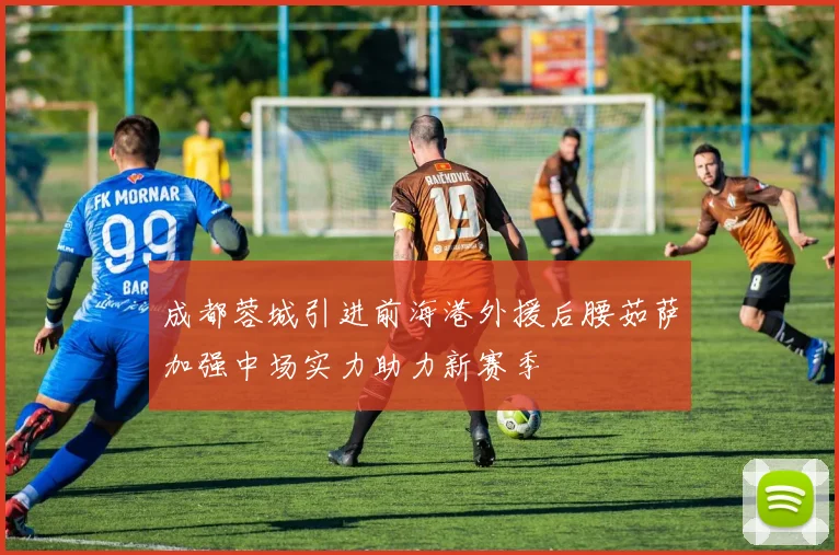 成都蓉城引进前海港外援后腰茹萨加强中场实力助力新赛季